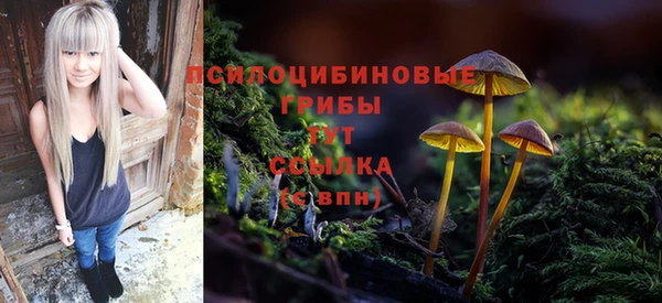 молекула духа Балабаново